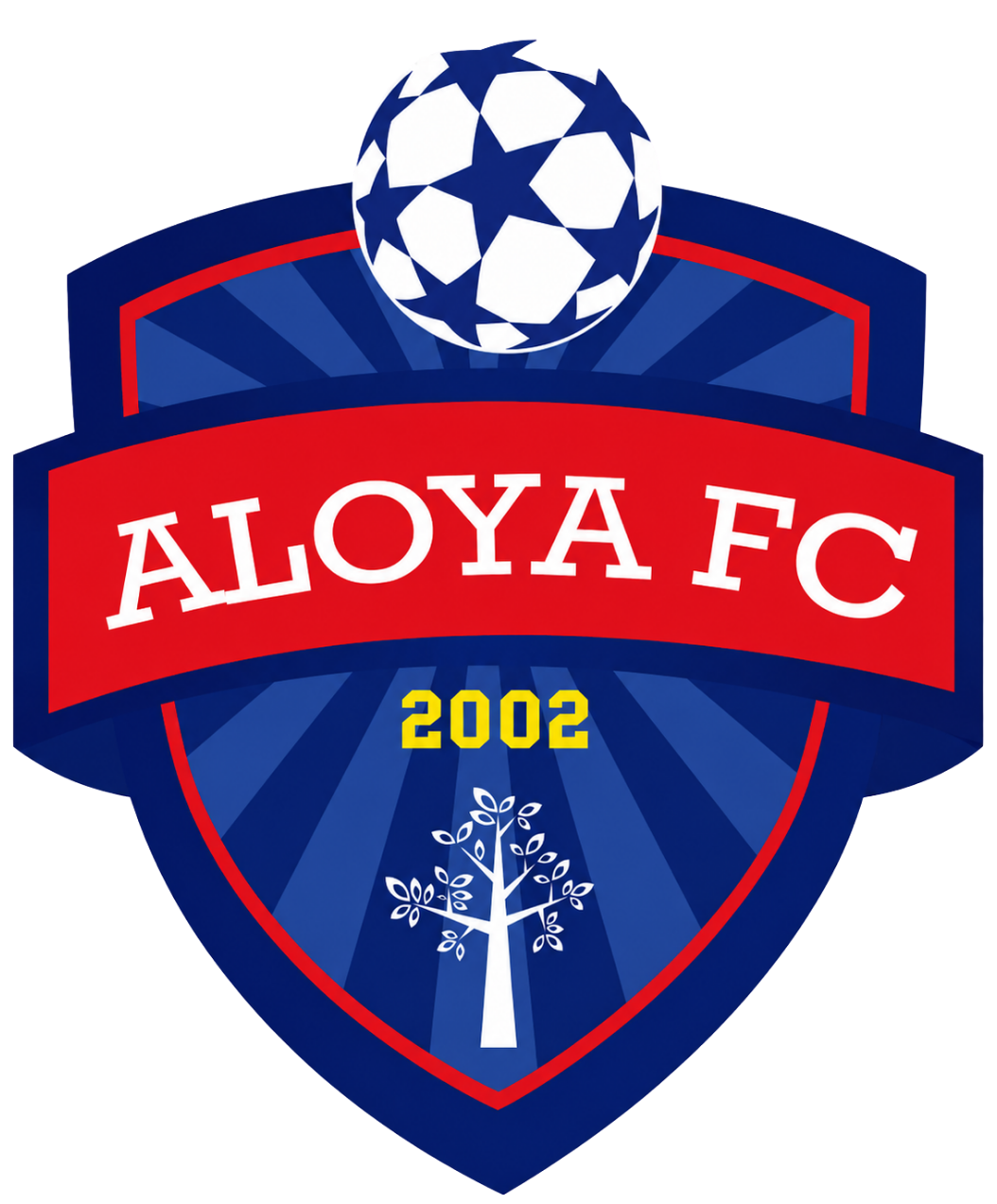 ALOYA FC